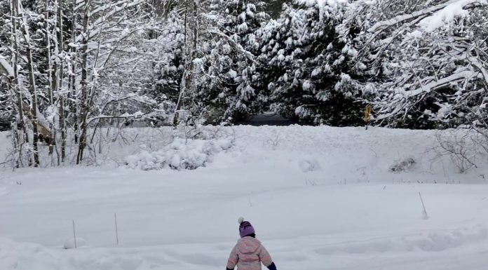 Winter in Vermont