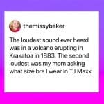 17964844260116151_vtmom